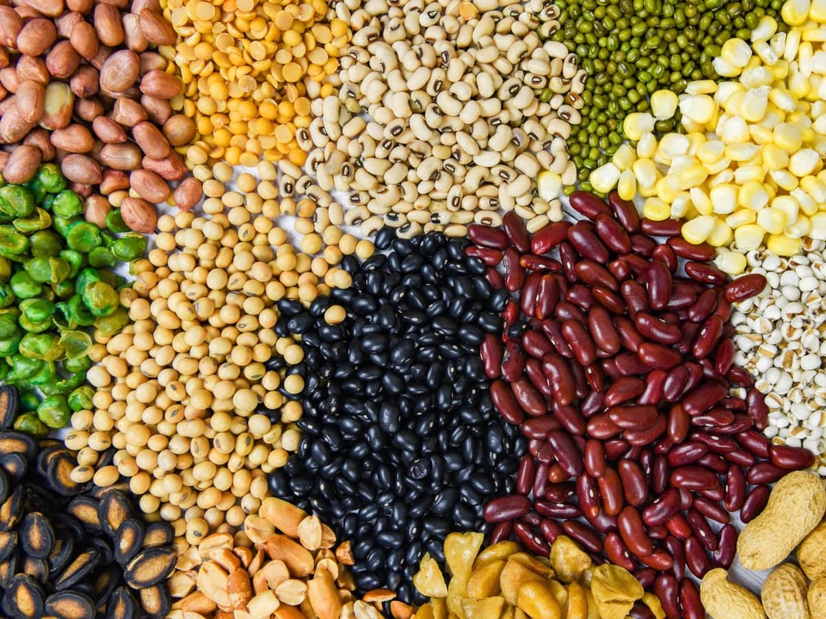 Différentes légumineuses, noix et graines vues du dessus.